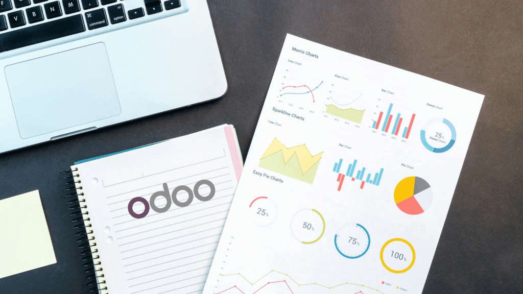 odoo egypt implementation guide