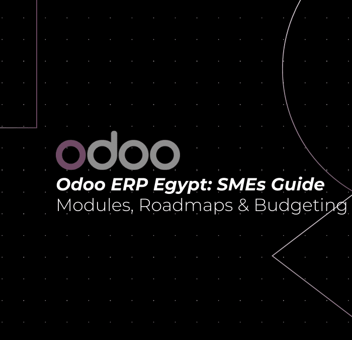 Odoo ERP Egypt: A Complete Guide for SMEs